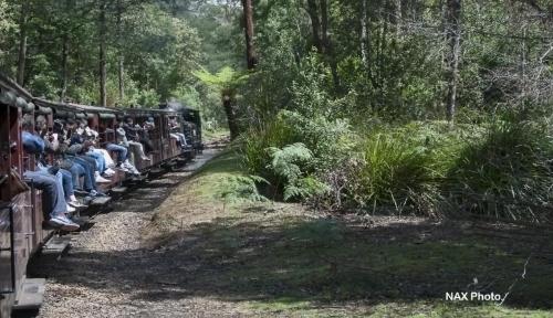 #33 Puffing Billy